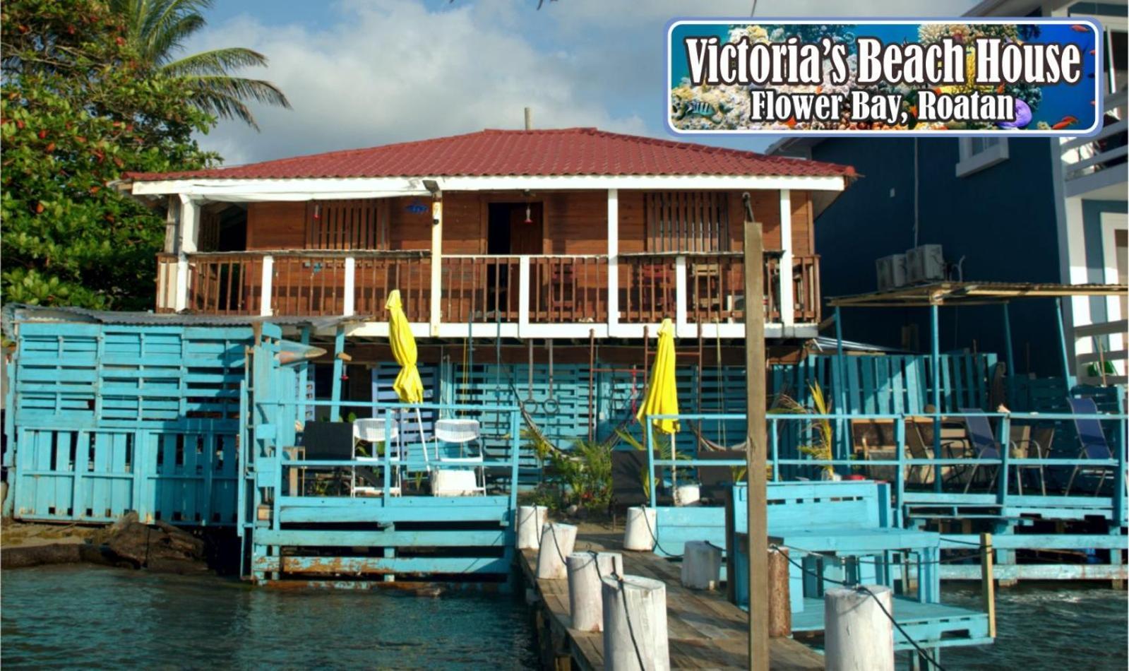 Flowers Bay Victoria S Beach House And Snorkeling Center المظهر الخارجي الصورة